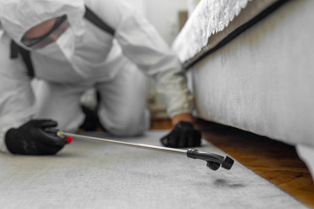 Professional Cockroach Control technician working in Sonterra, TX